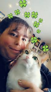 Hi guys, Does anyone know about this cat? Cat has red colour straps