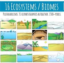 Biomes Ecosystems Clipart 16 Habitats 31 Clip Art Graphics Ecosystems Biomes Clip Art
