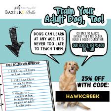 A couple weeks ago, emi announced that it will begin offering tracks in mp3, aac, and wma format. Hawk Creek Animal Shelter