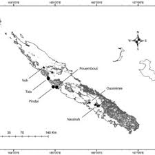 Image result for Ixora burundiensis