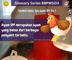 We did not find results for: Bbp Balai Besar Pengujian Mutu Dan Sertifikasi Obat Hewan Facebook