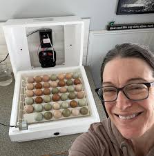 Hatching Chicken Eggs and Chicken Math