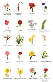 El Nombre De Las Flores Nombres De Flores Nombre De Las Plantas Nombres De Hierbas