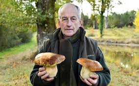 Chaussures de marche, panier, petit couteau sont les instruments après la cueillette, il est temps de tous se mettre au travail. Dordogne Il Cultive Des Cepes Comme Des Legumes Et Lance Sa Marque Reportage Photos Charente Libre Fr
