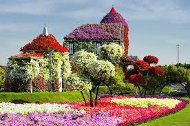 We will be opening in november for our 5th season. Dubai Miracle Garden Touren Tickets Tripadvisor