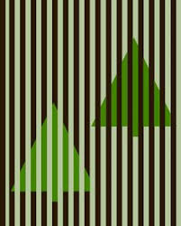 Maybe you would like to learn more about one of these? 110 Color Adapting Optical Illusions Ideas Optical Illusions Illusions Optical