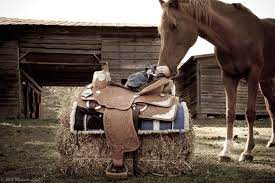 Western Newborn Baby Announcement Pictures Pictures With Horses Baby Pictures Newborn