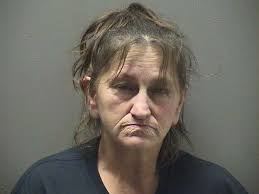 Homeowner holds two at gunpoint for alleged burglary