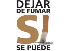 En canarias, se estima en 410.000 el número de personas que fuman a diario, de los que 260.000 son hombres y 150.000. 36 Ideas De Dia Mundial Sin Tabaco Dia Mundial Sin Tabaco Tabaco Dia Mundial