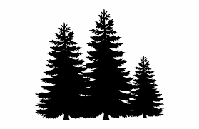 Black And White Christmas Trees Clipart Pin On Baby Theme Ideas