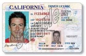 Everything you need to know about driver's licences: New Driver S License Category For Undocumented Immigrants In California Idscanner Com