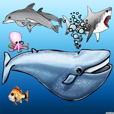 Drawing Cartoon Sea Creatures In Photoshop