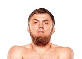 Magomed Magomedov MMA Fight History