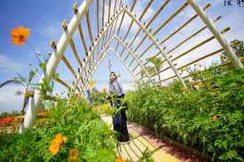 In the coming few years batam will have a batam botanical garden. Wisata Kebun Bunga Dan Berkuda Di Agro Piknik Marina