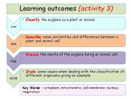 They grow and increase their cell size by consuming more water into what is the difference between plant cells and animal cells? 1 3 A Animal Cells Lo Locate And