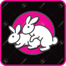 Funny Cartoon Card With Couple Of White Lovers Rabbits Having Sex On Black  And Pink Background. Rabbits Breeding Vector Illustration. Royalty Free  SVG, Cliparts, Vectors, and Stock Illustration. Image 70868658.