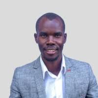 600+ "Amimo" profiles