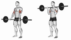 8 arm exercises to build muscle