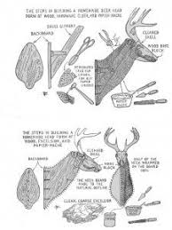 Paper Mache Deer Head Template Paper Mache Deer Head Paper Mache Paper Mache Animals