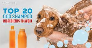 Here are the top 10 ingredients you do not want as part of your dog's dental care routine! 20 Dog Shampoo Ingredients To Avoid Dogs Naturally