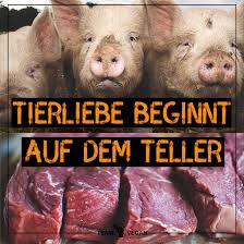 Tierliebe Tierschutz Vegan Leben Vegan Vegan Leben Tiere