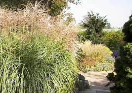 Der sicherheit vorleger gräser im garten gestaltungsideen, wenn jeder zentimeter sitzgelegenheit zählt, bietet gelegenheit, sich mit speziellen gartentechniken und pflanzenpräferenzen vertraut zu machen. Grasergarten Anlegen Bilder Und Ideen