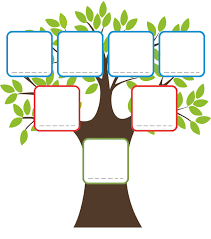 Vous obtiendrez le fichier pdf de ce bel arbre généalogique prêt à imprimer sur une feuille au format a4 (210 x 297 mm). Ton Arbre Genealogique