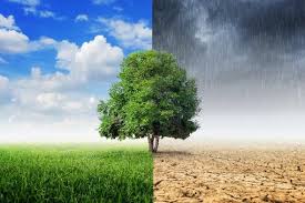 El portal de noticias, el tiempo y entretenimiento en video más grande depuerto rico. Que Es El Clima