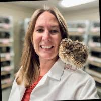 70+ "Karin D." profiles