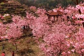 83983俱乐部- powered by phpwind.net