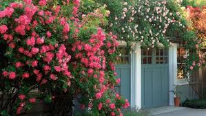 1001 Ideen Fur Garten Gestalten Mit Wenig Geld Kletterrose Garten Gestalten Gartendesign Ideen