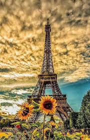 773 fondos de móvil 305 arte 407 imágenes 628 avatares 65 gifs. Fondos De Pantalla Wallpapers Hd C Para Celular Gratis