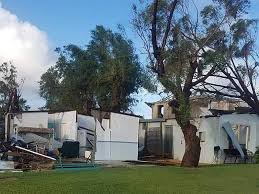 Our pest control west ealing, w13 services provide a comprehensive solution for commercial and domestic properties and for all other pest control related problems in west ealing, w13 and the surrounding area. Fty Kdmouftapm