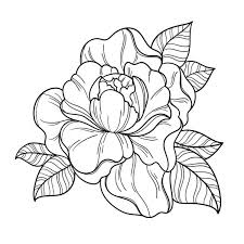 Just one flower on the arm is all you need. 4 994 Simple Flower Outline Tattoo Vector Images Free Royalty Free Simple Flower Outline Tattoo Vectors Depositphotos