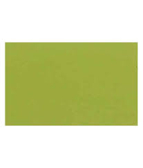 Buy Asian Paints Apcolite Premium Emulsion Interior Paints Green Apple Online At Low Price In India Snapdeal