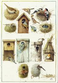 Album Arsivi Illustrasyonlar Kus Evi Kus Yuvasi