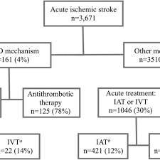 Flowchart Of Patients With Acute Ischemic Stroke By