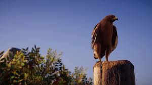Birds Of A Feather Assassin S Odyssey Ikaros Assassins Creed Odyssey Assassins Creed Hmm