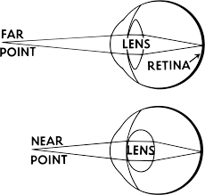 نتیجه جستجوی لغت [accommodation] در گوگل