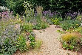 Gravel Gardens Low Maintenance Garden Tips Mediterranean Style Drought Tolerant Plantings Gravel Garden Drought Tolerant Landscape Low Maintenance Garden