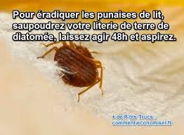 Maybe you would like to learn more about one of these? Le Produit Miracle Pour Eradiquer Les Punaises De Lit Rapidement