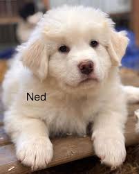 Modo Yoga Sherwood Park (@modoyoga_sherwoodpark) · Instagram 照片和视频