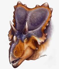 Mercuriceratops Gemini Center Compared To Horned Dinosaurs Centrosaurus Left And Chasmosaurus Right A Dinosaur Pictures Prehistoric Animals Dinosaur Art Which dinosaur to you think is better: pinterest
