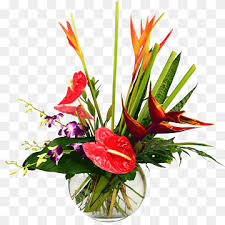 Catering to all budgets and decor schemes in various sizes, colors and display options. Karins Florist Png Images Pngwing