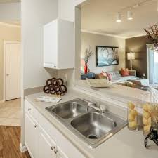 MADISON SHELBY FARMS