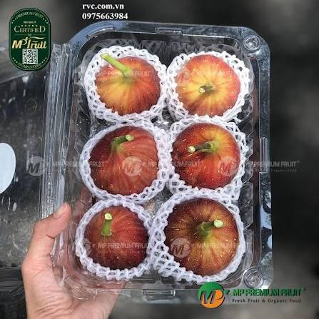 Cap nhat mau hop nhua trai cay 1kg gia tot tai Sai Gon