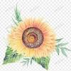 For faster navigation, this iframe is preloading the wikiwand page for 太陽花學運. 1