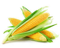 Freezing vegetables does not stop nature's clock from ticking altogether but the cold corn cutter tools are very helpful if you will be processing dozens of ears of corn. Freezing Sweet Corn Whole Kernels Umn Extension