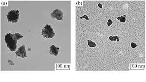 Manganese, which is essential for. Tem Images Of The A Manganese Oxide And B Zinc Oxide Nanoparticles Download Scientific Diagram