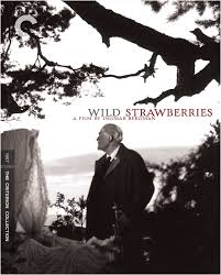 After living a life marked by coldness, an aging professor is forced to confront the emptiness of his existence. Wild Strawberries 1957 The Criterion Collection